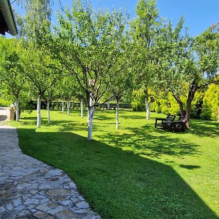 Holiday Home Emir Račić エクステリア 写真