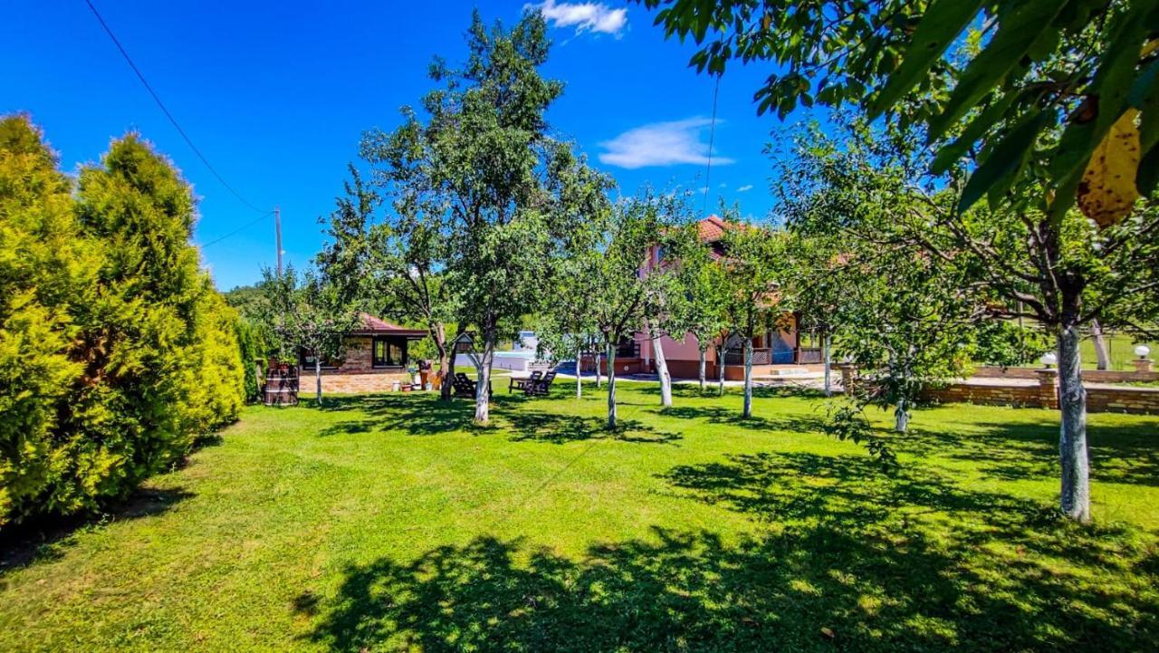Holiday Home Emir Račić エクステリア 写真
